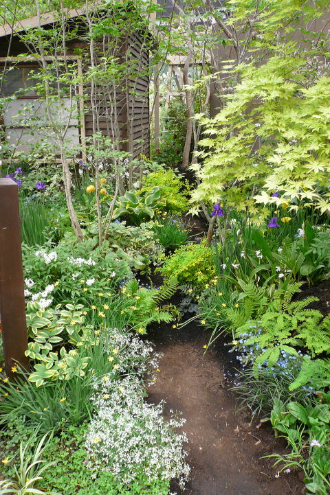 2011roses&gardening16.jpg